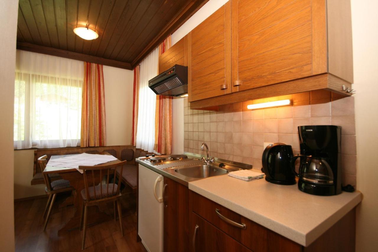 Ahlhof Villa Schladming Ngoại thất bức ảnh