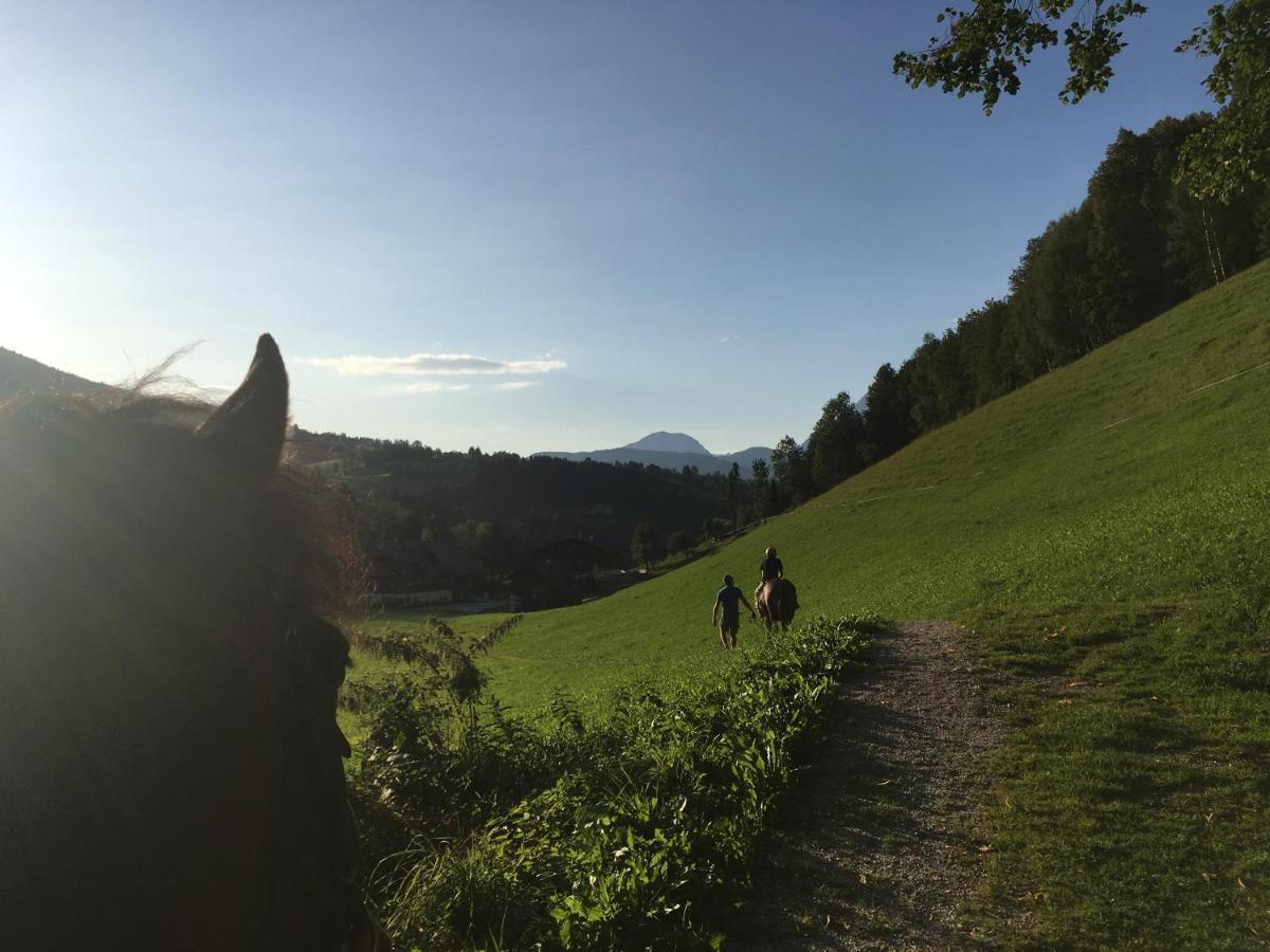 Ahlhof Villa Schladming Ngoại thất bức ảnh