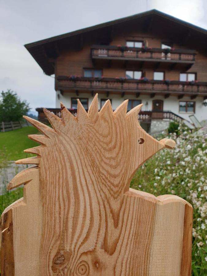 Ahlhof Villa Schladming Ngoại thất bức ảnh